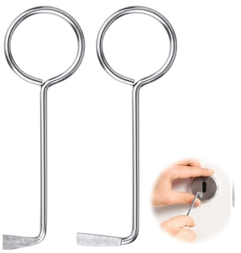 Flintronic Set di Grimaldelli professionali, 2 Pezzi Chiavi Universali per Porte della camera, Chiavi per Apriporta con Serratura