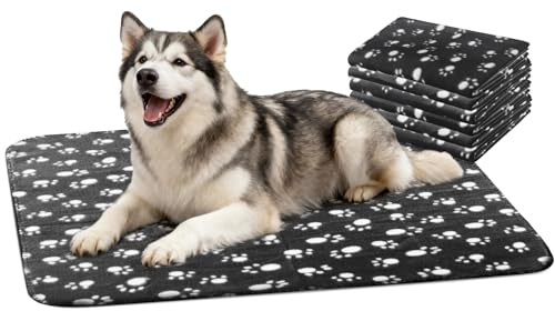 Nobleza Pack de 6 Mantas de Felpa Ultra Suaves para Mascotas Perros, 100 * 160cm Negro