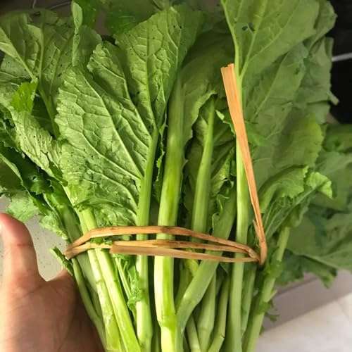 comprar semillas de mostaza de invierno, resistentes para el jardín, mostaza orgánicas de variedades antiguas 500pcs