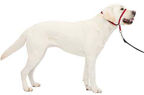 PetSafe Easy Walk Head Collar