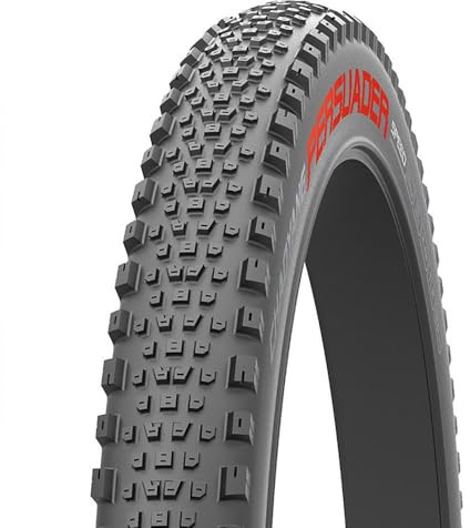 CHAOYANG Copertura 29x2,4 Persuader Speed 120TPI TLR Dual