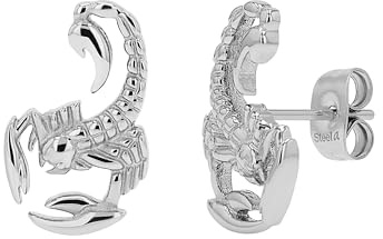 AMOR - Orecchini Unisex Donna Uomo in Acciaio inox - Argentato - Orecchino a Perno a Segno Zodiacale Scorpione - AMR-E0088