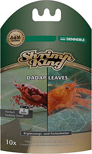 Shrimp King Dadap Leaves - Nourriture en Feuilles de qualité supérieure pour crevettes et écrevisses (10 pièces)