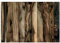 KunstLoft Tapete 'Olive Wood' 100x70cm Fototapete modern