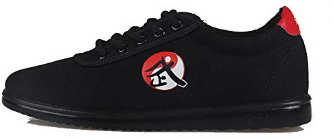 MENG Unisexe Chaussons Chaussures De Toile Chinois De Tai Chi Chuan Et Kung Fu Taekwondo (Color : Black, Size : 42)