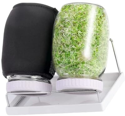 Uitndvyte Set di germogli in vetro con base ventilata e coperchio che blocca la luce per erba medica e ravanello | Germogliatore compatto in vetro da giardino con coperchio