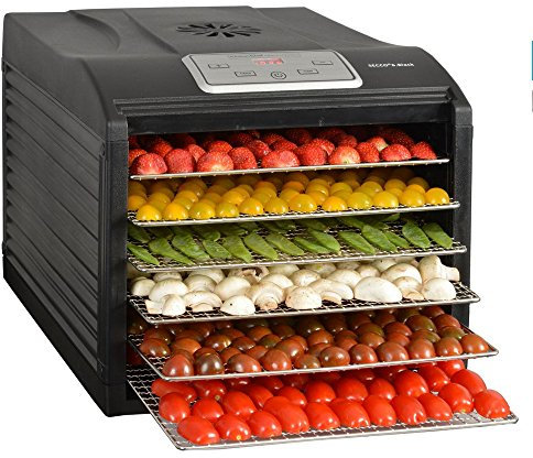 Déshydrateur Fruits Et Légumes 6 Plateaux 500w - SECCO 6 BLACK