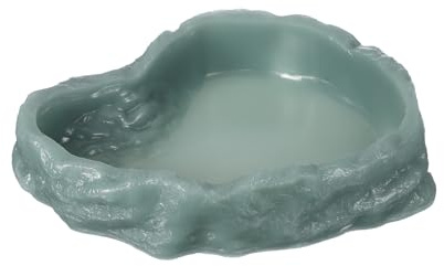QUARKZMAN Cuenco De Comida para Reptiles 9.8 Pulgadas Verde Oscuro