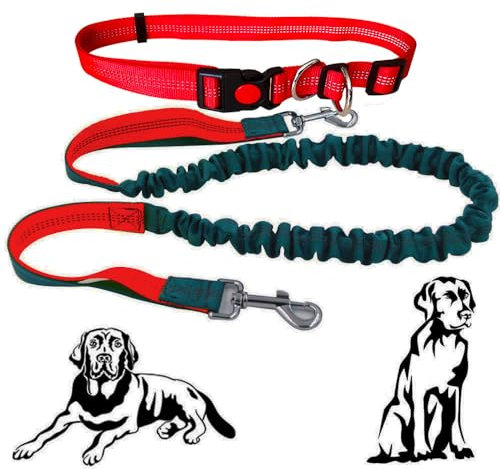 Senvenelec 1Pcs Ausziehbare Hundeleine, 16 ft (5 m) - 33 ft (10 m), Rot, Silikon, Schnalle