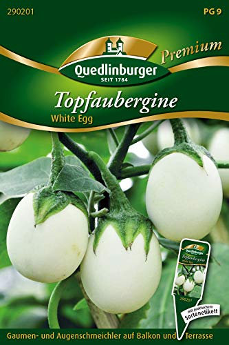 Quedlinburger 290201 Aubergine White Egg (Auberginensamen)