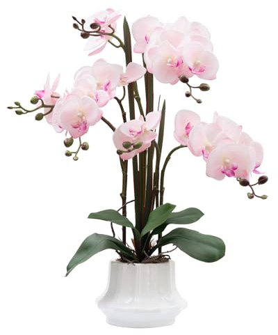 CXGS Artificial Orchid Flower Plant 20.9'' Real Touch Faux Orchids in Ceramic Vase Pink Fake Phalaenopsis Flower Arrangement Silk Orchids with Stems for Centerpiece Table Home Indoor Decor