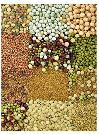 Handy Pantry Organic Sprouting Seed Assortments - Microgreens, Sprout Seeds Variety Pack (12 Pack - Beginners Dozen)