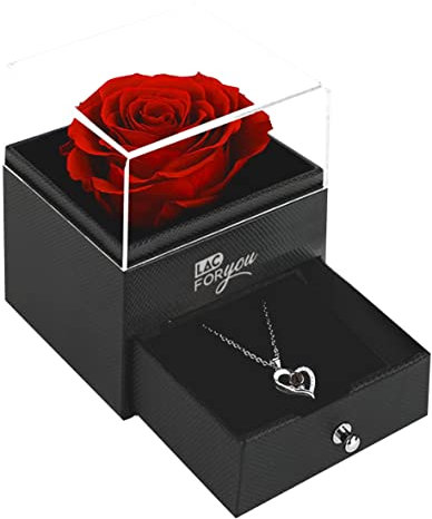 LAC FOR YOU Ewige Rose mit Kette - Infinity Rose Rote im Glas, Liebes Geschenk für Sie Jahrestag | Ewige Rosen Hochzeitstag Geschenke für Frauen