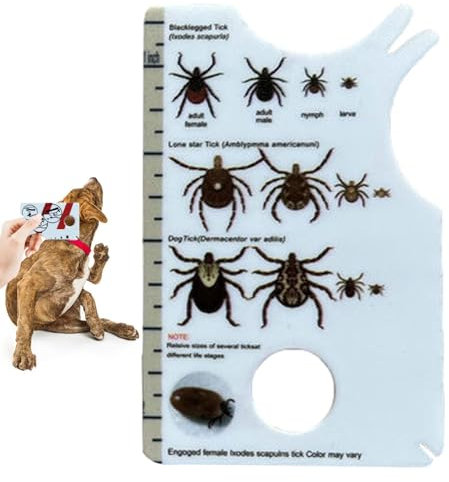 Zeckenkarte Mit Lupe Im Scheckkartenformat - Zeckenentferner Zur Entfernung Von Zecken & Nymphia Bei Mensch Und Tier - Tick Card Als Erste Hilfe Für Hund & Katze 3,3 X 2,12 X 0,04 Zoll