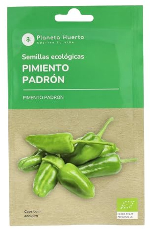 Planeta HUERTO | Semillas Ecológicas de Pimiento de Padrón – Variedad Tradicional con Frutos Pequeños y Sabor Suave o Picante