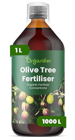Organiskt flytande gödsel 1L för Olive tree – stimulerar rötter och vitalitet - Organifer
