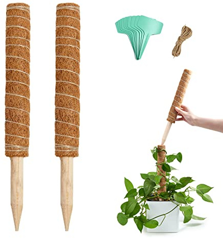 Joyhalo Palo di muschio per piante, palo di muschio da 66,4 cm per piante Monstera, 2 pali per piante rampicanti, vero muschio fatto a mano per piante in vaso, palo per piante in vaso, palo per piante