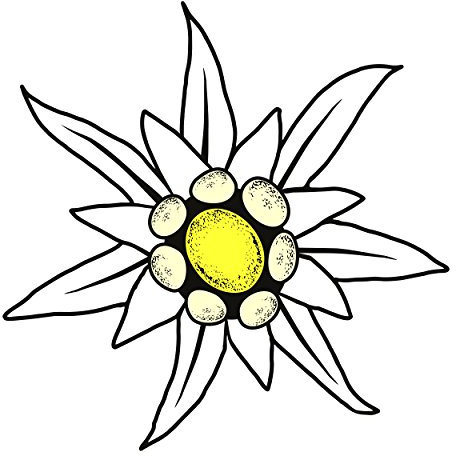 carstyling XXL Aufkleber Edelweiss 90 x 90 mm