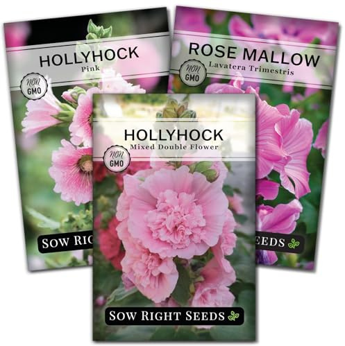 Sow Right Seeds - Collection of Hollyhock Flower Seeds for Planting - Double Flower Mixed, Pink Hollyhock, and Rose Mallow - Non-GMO Heirloom Packets to Plant and Grow a Vibrant Pink Home Garden