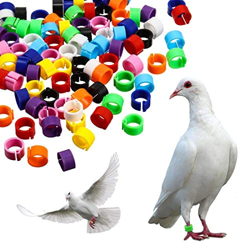 Vogelringe Taubenringe Wachtelringe Hühnerringe 200 Stück Kunststoff Identifizierung Ring Geflügel Band Klemmringe zum Markierung für Vogel Papagei Taube Wachtel Küken 8 mm Gemischte Farben