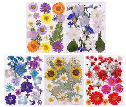 Gugxiom Torkade Pressade Blommor för Harts, 5 Påsar 100 St Pressade Blommor, 5 Färgteman Torra Blommor för Nagelkonst, Harts, DIY Smyckesdesign, Telefonfodral, etc. (Typ 1)
