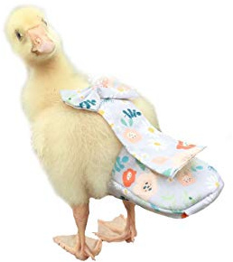 HEZHUO - Forniture per pollame di oca e anatra di pollo, forniture calde, vestiti per animali domestici (2kg-2,5kg)