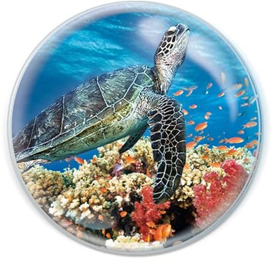 Deluxebase Magnidome Sea Turtle Fridge Magnet – Crystal Glass Dome Animal Magnets for Fridges, Decorative Strong Magnet for Kitchen Accessories, Novelty Gifts and Cute Home Decor.