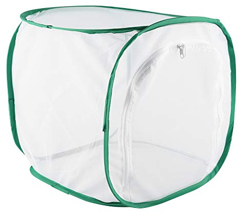SIXRUN Stor Fjärilsuppfödningsbur, Portabelt Ventilerat Insektshus med Dragkedja för Fjärilsuppfödning Återanvändbart Polyesternät (30 * 30 * 30 cm)
