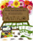 Flower Seed Selection Box - 20 Premium Seed Varieties with High Germination Rate. Natural, Sustainable & GMO Free. Instruction Booklet Included, Perfect for Beginners or Experts. Packed in The UK
