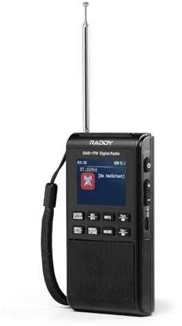 Raddy RD939 Radio DAB FM portable, radio de poche, avec haut-parleur BT 5.3, 5 W, écran 2, batterie USB-C et 1200 mAh, réveil, lecture TF/USB, balayage automatique, prise casque - Noir