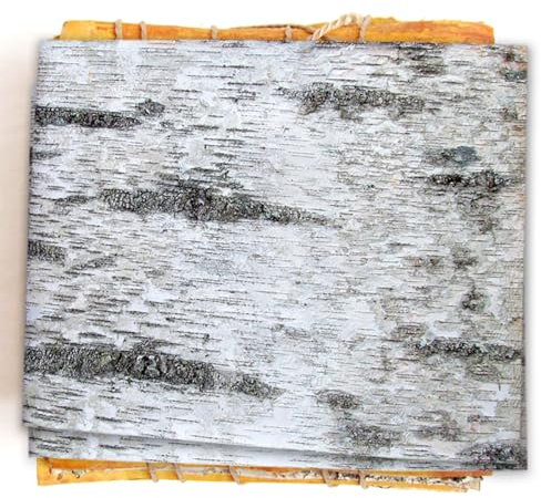 Unfinished Wood Natural Birch Tree Bark 5 Sheets 20 x 24- White Birch Bark to Make Traditional Russian Souvenirs, DIY Handmade Keychains, Bast Shoes