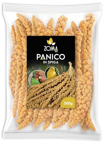 ZOMAPET spighe di panico per pappagalli 500gr, mangime pappagalli naturale ideale anche per cocorite e uccelli esotici - Made in italy