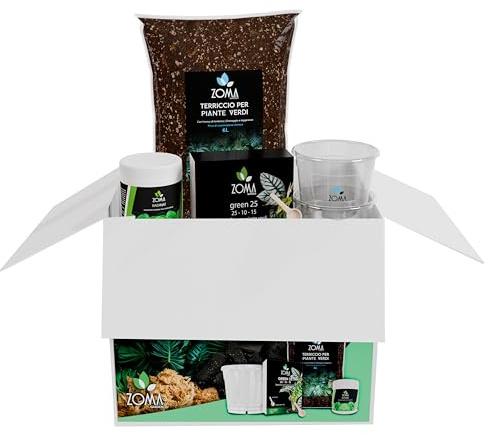 ZOMA Kit rinvaso per piante verdi con Terriccio 6L, 3 Vasi trasparenti, concime e radicante per talee, Kit professionale ideale per tutte le piante verdi - Made in italy