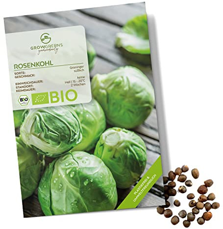 BIO Rosenkohl Samen (Groninger, 30 Korn) - Rosenkohl Saatgut aus biologischem Anbau ideal für die Anzucht im Garten, Balkon oder Terrasse