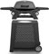 Gas BBQ Portable Outdoor Gas Barbecue Table Top Barbecues BIG HORN OUTDOORS 2 IN 1 Propane Grill with Cart Wheels Side Table for Camping
