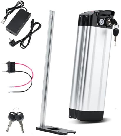 ZHIKAN E-cykel Pedelec batteri 36 V/48 V 15,6 Ah/18 Ah/21 Ah, för MiFa Rex Prophete Aldi Bike/Phylion/XH370-10J/ZL1010-F, med laddare, lämplig för 250 W/3500 W/750 W/1 0000 W/1200W Motorer (36 V 21