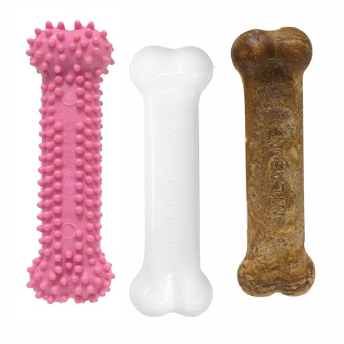 Nylabone Kauspielzeug für Welpen Starter Packungen Puppy Chew Spielzeug