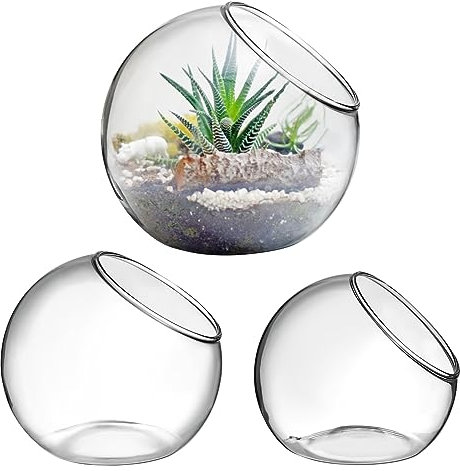 Healvian 3 Pcs Glass Terrarium Bowls Vases for Succulent Plants, Decorative Glass Containers for Home Office Decor, Transparent
