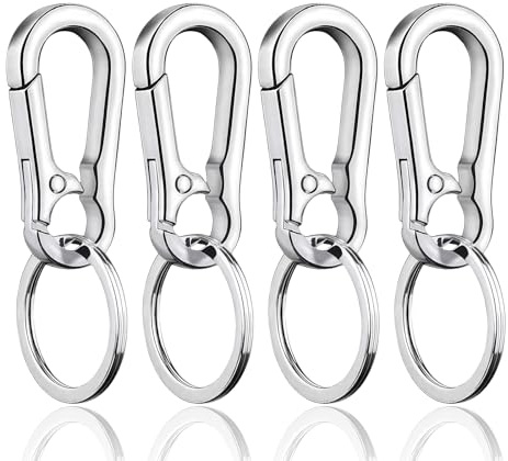 Diffaxy Lot de 4 porte-clés avec ressort de qualité supérieure, résistant à l'usure et à la lumière, avec mousqueton à dégagement rapide, petit, adapté aux clés de voiture des hommes et des femmes