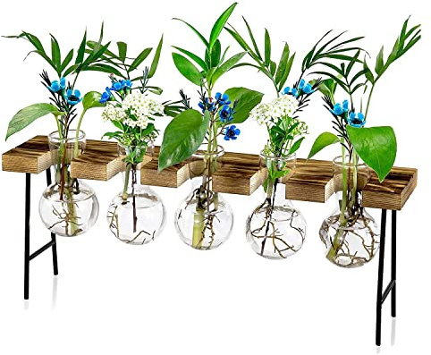 Nicfaky Propagation Stations Desktop Terrarium, Glass Planter Bulb Glass Vase with Wooden Stand - Terrarium