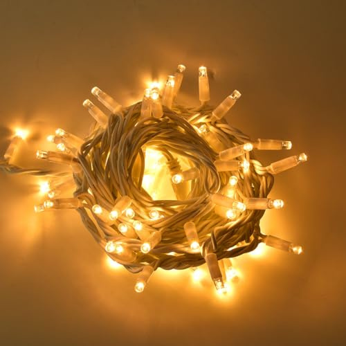Generico CATENA LUMINOSA PROFESSIONALE LUCI NATALE E FESTE DA 10 METRI CON 100 MAXI LED REFLEX F8 A LUCE CALDA FISSA CAVO BIANCO PROLUNGABILE FINO A 20 PEZZI IP44 CIELO STELLATO 220V
