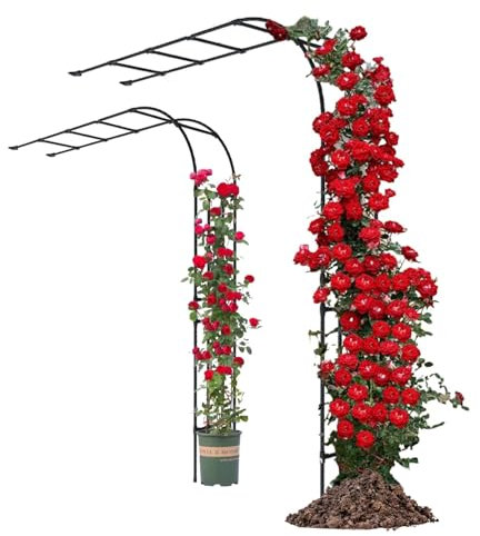 Arche Rosier Exterieur Pergola Jardin Métal Support Plante Grimpante Tonnelle Demi-latérale Treillis 60x240cm 200x240cm 270x240cm Facile À Assembler Décoration Entrée(W:90cm*H:240cm)