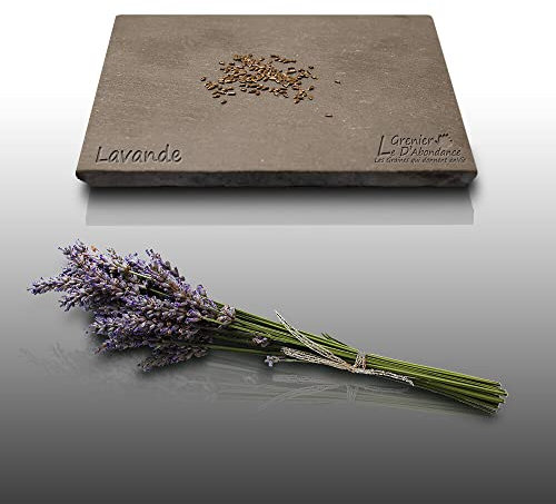 50 graines Aromatiques à semer - Le Grenier d'Abondance - LAVANDE Vraie - True lavander