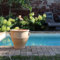 Palatina Werkstatt Pot de fleurs en terre cuite avec anse, fait à la main et résistant au gel, décoration de jardin, 35-80 cm, rose (35 cm de hauteur)