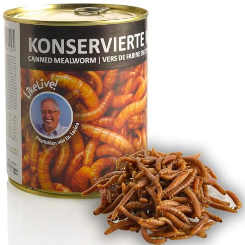 UGF - Saftige Konservierte Mehlwürmer, 490g, Vogelfutter Wildvögel Ganzjährig, Igelfutter, Eichhörnchen Futter, Hamster Futter