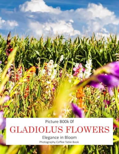 GLADIOLUS FLOWERS: Elegance in Bloom
