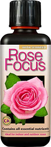 Growth Technology Ltd Engrais concentré Liquide équilibré Rose Focus 300 ML