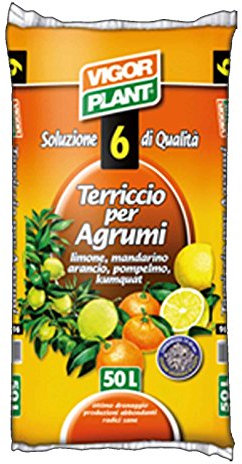 Vigor Plant Terreau pour agrumes Citron Mandarin Orange Pamplemousse - 45 l - Terreau universel pour agrumes
