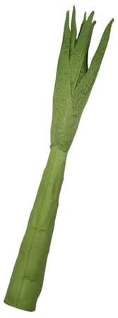 TSMORY Realistische Celtuce Ornament, handgefertigtes Kunstgemüse-Modell für Küche, Dekoration, künstliche Lebensmittel-Requisiten für Fotografie