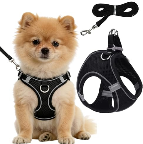 Dog Harness for Small Dogs, Breathable Vest with 1.5 Meter Flat Rope, Adjustable Soft Mesh Reflective Anti Pull Harness for Small Puppy, Kitten and Cats Training or Walking, S, Black
